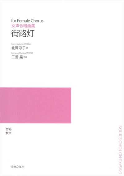街路灯 (受注生産)