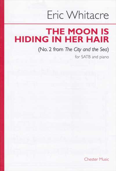 the moon is hiding in her hair (The City and the Sea No.2)