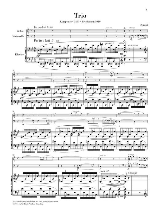 Piano Trio in g minor op.3
