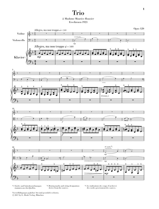 Piano Trio in d minor op.120